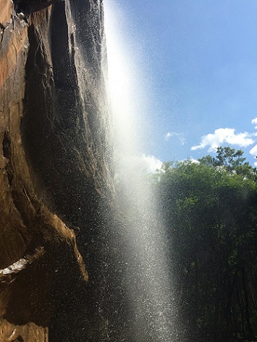 子午嶺瑰寶，軒轅養(yǎng)生谷