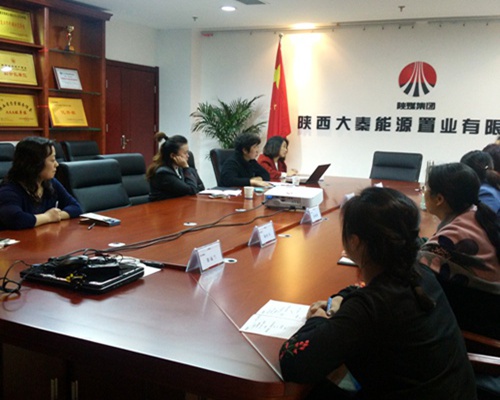 大秦置業(yè)公司積極開展銅川新區(qū)存量土地財(cái)稅業(yè)務(wù)座談交流