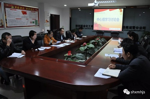 洗選煤運營公司黨政領(lǐng)導(dǎo)班子“議發(fā)展”