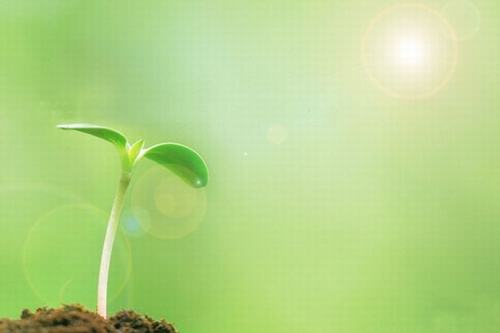 歲生之初，且聽我說