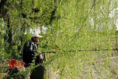 春天，一個多么富有詩意的名字??！