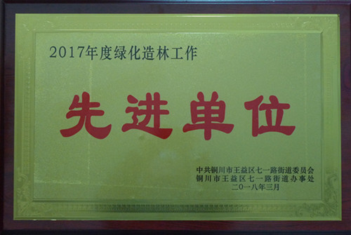 機電安裝公司榮獲銅川市七一地區(qū)綠化造林先進單位榮譽稱號