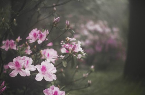 七律詩(shī)二首