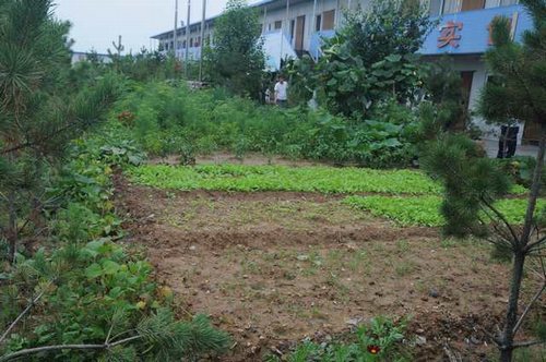 陜煤建設(shè)掘進(jìn)公司:北翼項(xiàng)目部“綠色農(nóng)場(chǎng)”開(kāi)張啦