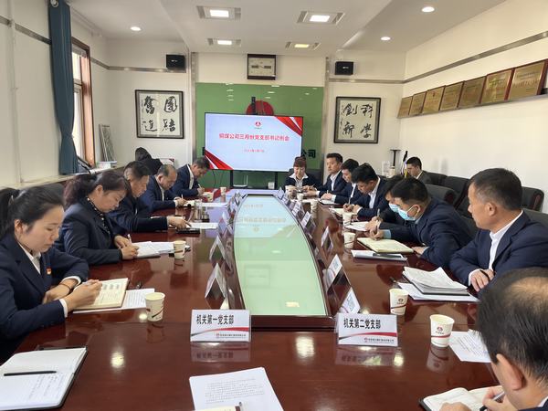 陜煤建設(shè)銅煤公司：升級(jí)黨建一體矩陣 賦能生產(chǎn)經(jīng)營(yíng)融合提升