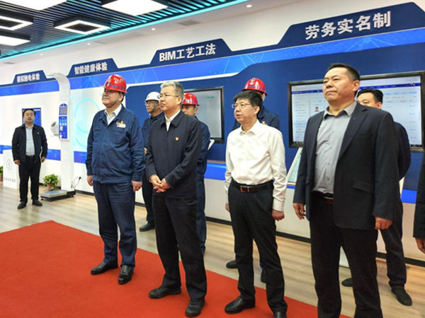 渭南市委副書記、市長陳曉勇視察龍鋼機(jī)械化綜合一次料場項目建設(shè)情況
