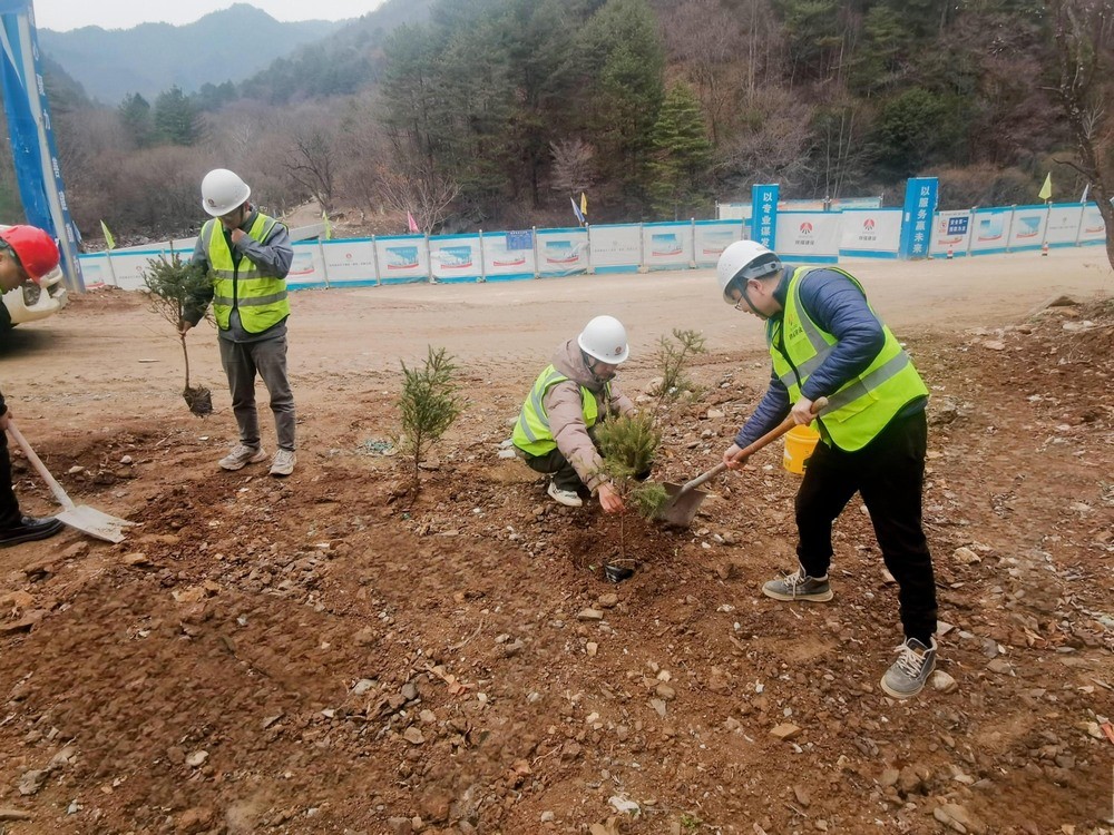 “植”此青綠，陜煤建設(shè)路橋分公司春風(fēng)十里添新林
