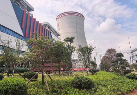 陜煤建設(shè)西北分公司：綠意盎然入電廠，生態(tài)建設(shè)譜新章