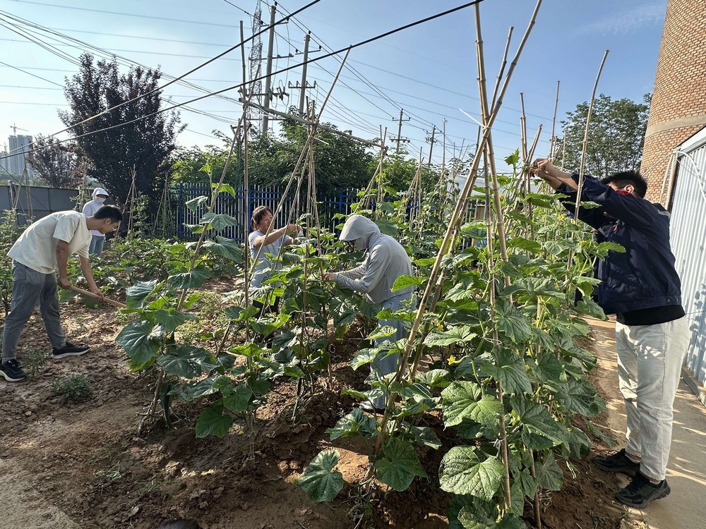 方寸菜園間，鐫刻奮斗與溫情