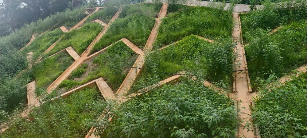 陜煤建設(shè)西北分公司：長(zhǎng)安益陽(yáng)發(fā)電有限公司2×100萬千瓦擴(kuò)能升級(jí)改造項(xiàng)目 高邊坡支護(hù)工程順利通過竣工驗(yàn)收