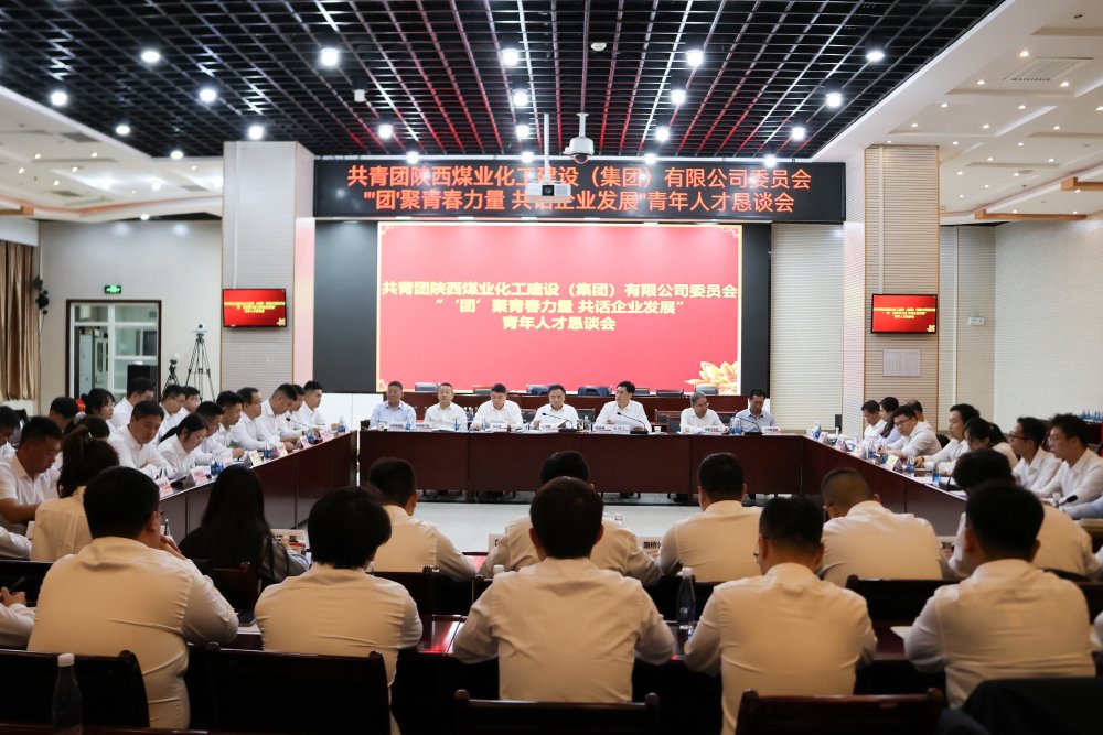 建設(shè)集團(tuán)召開(kāi)青年人才懇談會(huì)