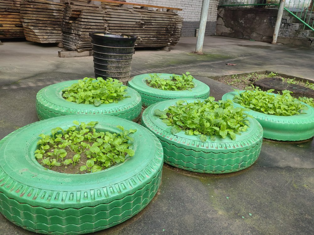 創(chuàng)意無休，廢舊輪胎也能C位出道